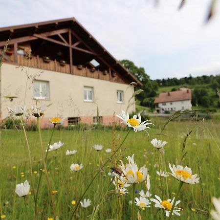 Les Chantenees La Bresse Zewnętrze zdjęcie