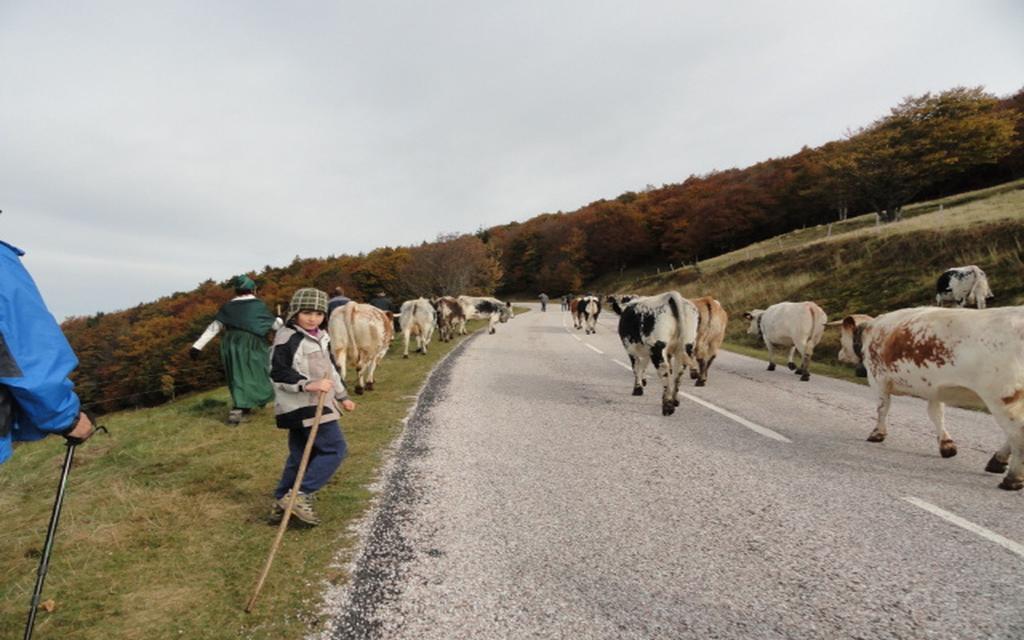 Les Chantenees La Bresse Zewnętrze zdjęcie
