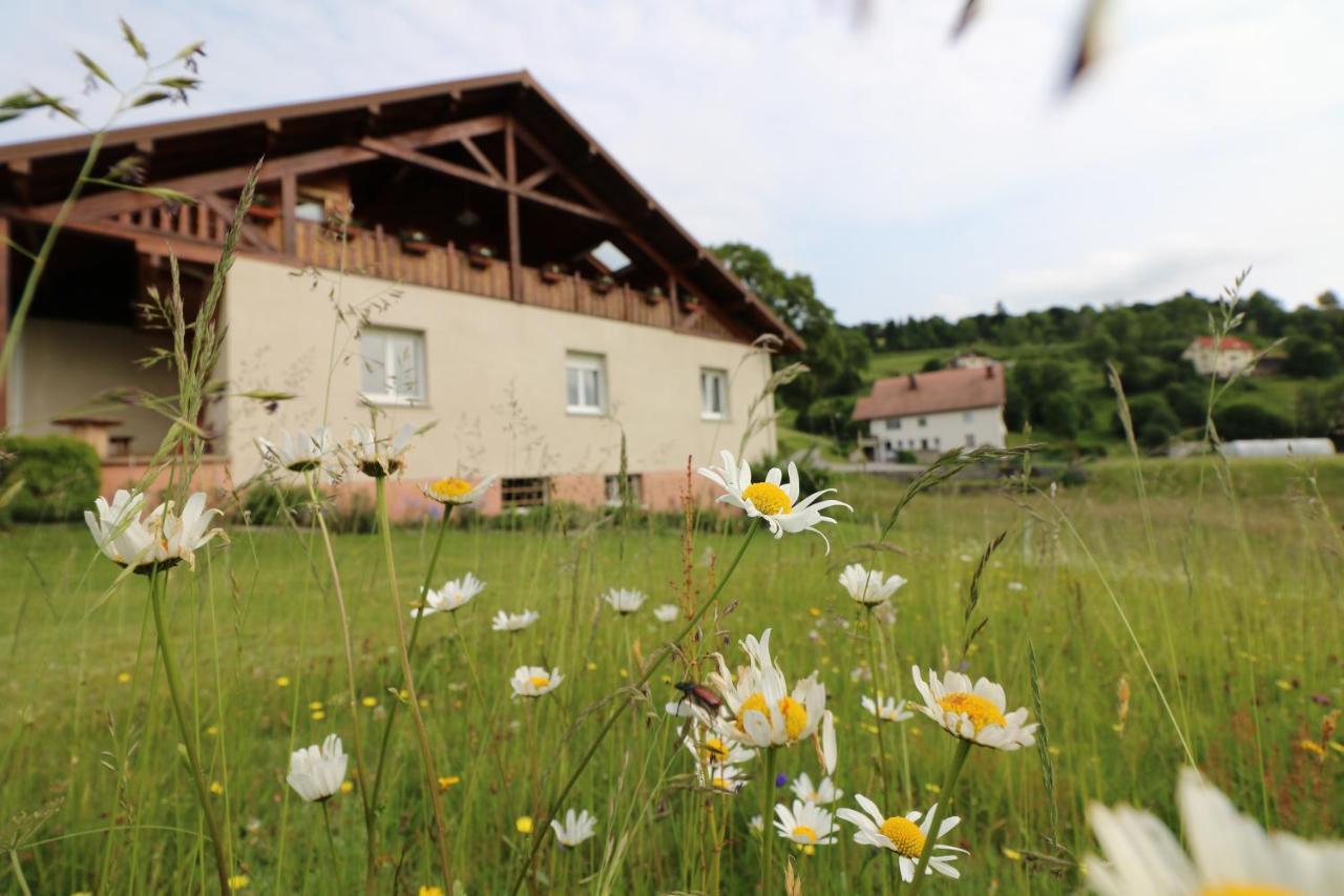 Les Chantenees La Bresse Zewnętrze zdjęcie