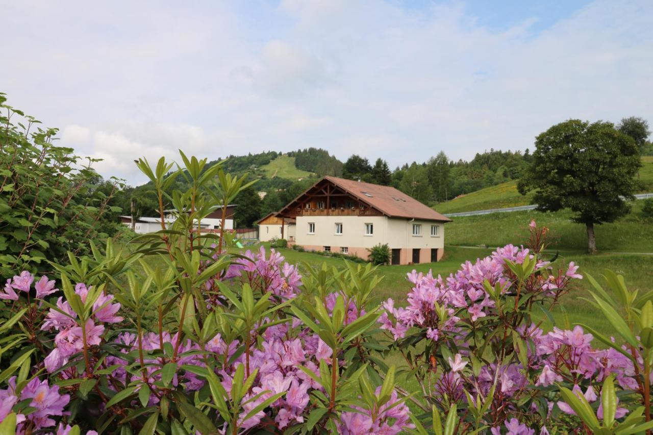 Les Chantenees La Bresse Zewnętrze zdjęcie